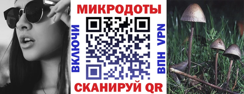 Псилоцибиновые грибы Psilocybine cubensis  Серов 