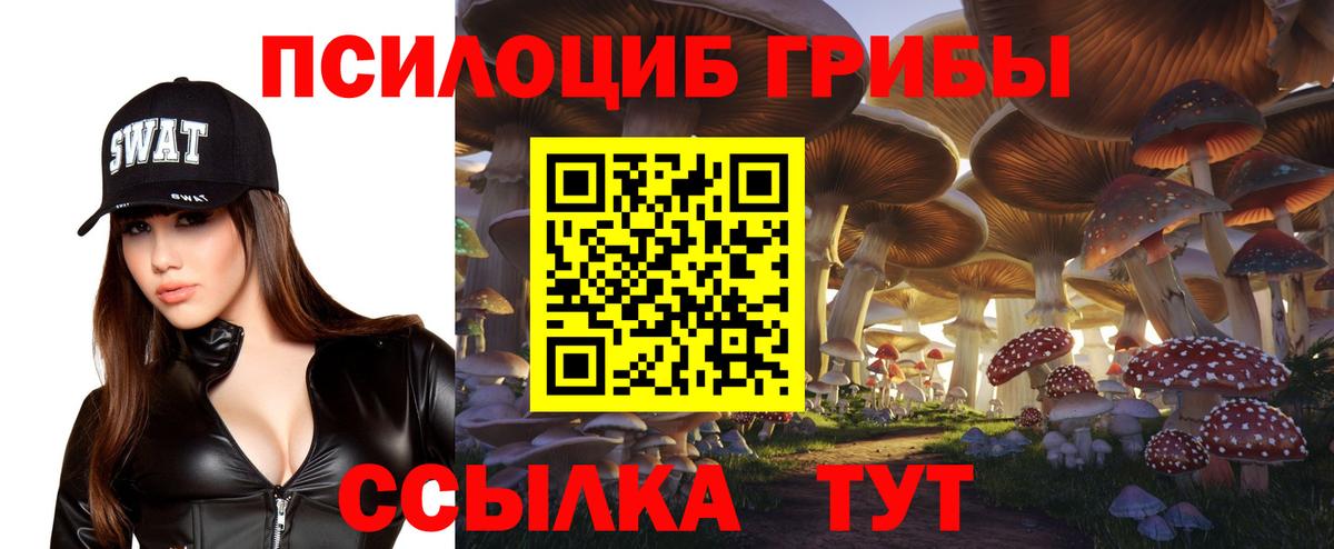 Псилоцибиновые грибы Cubensis Серов